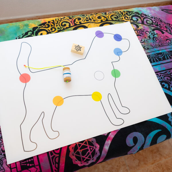 PENDULO ANIMAL DSC03741